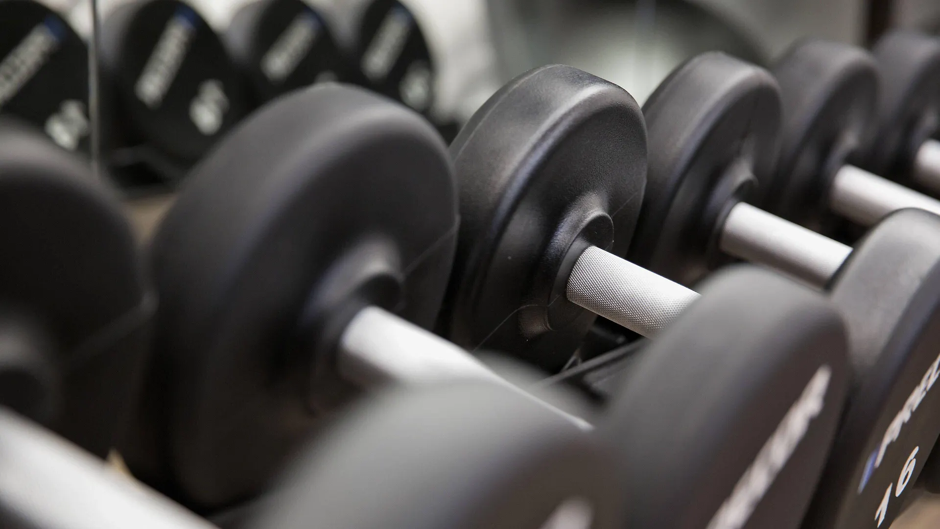 Renaissance Vienna Schoenbrunn Hotel